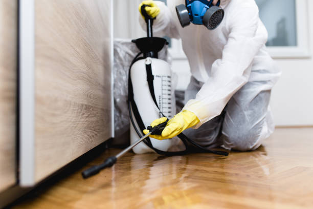 Best Mosquito Control Services  in Jena, LA