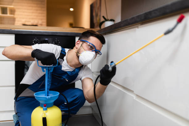Best Pest Inspection Near Me  in Jena, LA