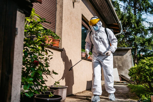 Best Residential Pest Control  in Jena, LA