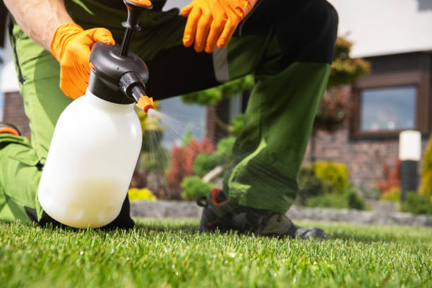 Best Cockroach Control Services  in Jena, LA