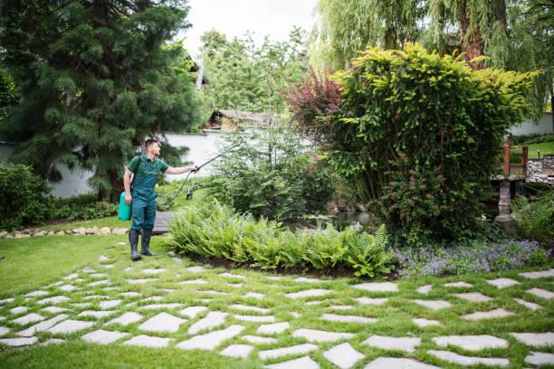 Best Residential Pest Control  in Jena, LA