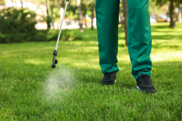 Pest Prevention Services in Jena, LA