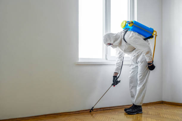 Professional Pest Control in Jena, LA