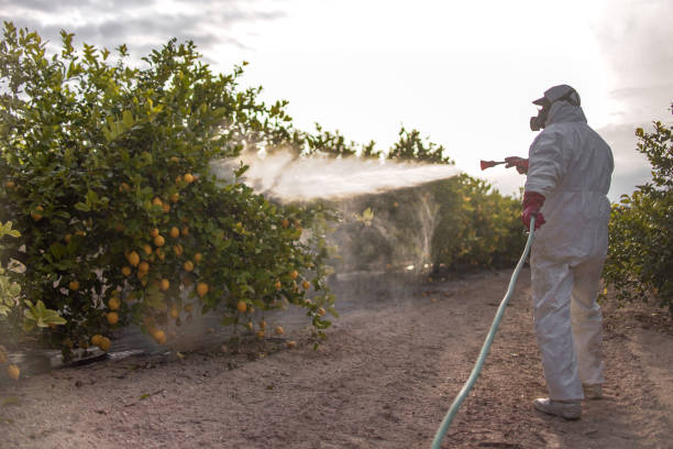 Best Best Pest Control Companies  in Jena, LA