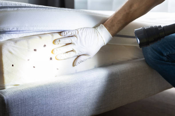 Best Affordable Pest Control Services  in Jena, LA