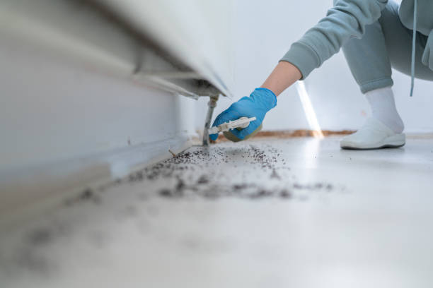 Best Cockroach Control Services  in Jena, LA